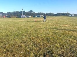Morning game of football