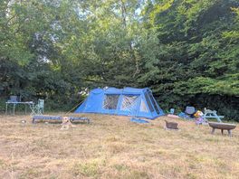 Our pitch