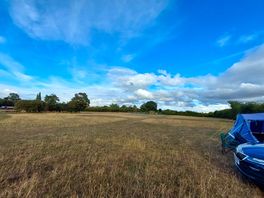 Beautiful open area for camping with shelter around the edges from the hedgerows