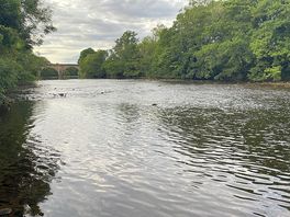 Five mins walk away