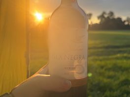 Glass of red with a beautiful sunset.