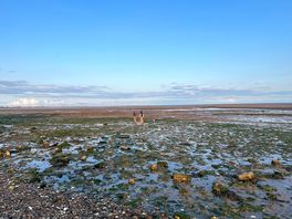 Lovely to skim stones when the tide was in.