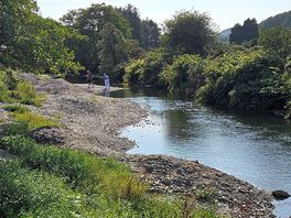 The stream to paddle in