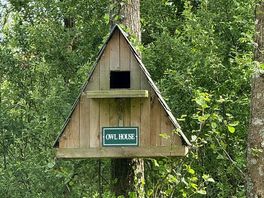 Near the pond