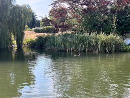 Wareham river