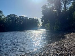 Walk to the river