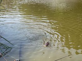 Good fishing