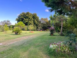 Grands espaces arborés
