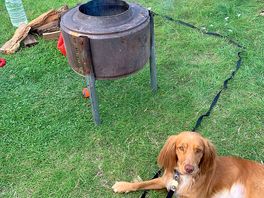 Fire pit time