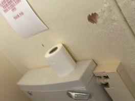 Damp problem/peeling walls by wipes