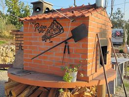 Pizza oven and bbq
