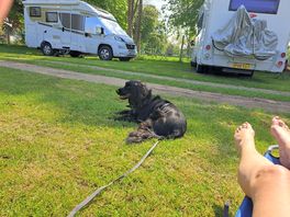 Lovely site right on the river