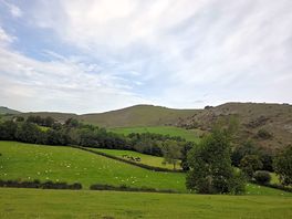Country side