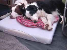 Sleep time
