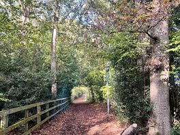 Paths around the site. so many to follow