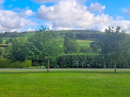 Lovely view
