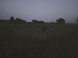 Loved no light pollution