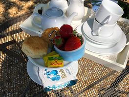 The delicious cream tea waiting for us on arrival