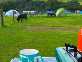 Camping