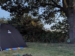 Campfire