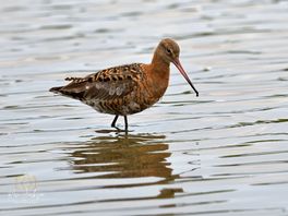 Taken at gibraltar point.