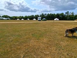 Large site plenty of grass for children to play