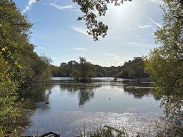 Lake next to the campsite