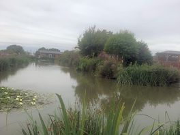Beautiful lakes