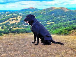 Diesal on the malvern hills