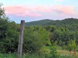 View from the tent