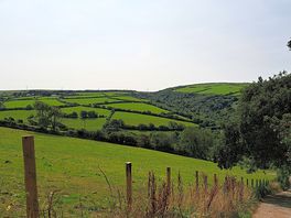 View from the walk to boscastle