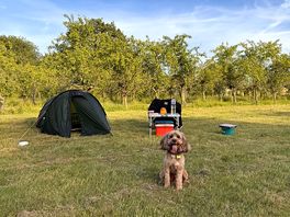 All set up