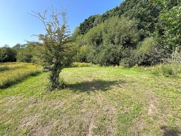 Spacious secluded pitches