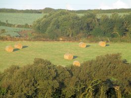View of farmland from tregella place campsite at sunrise.