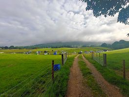Main field mountain view.