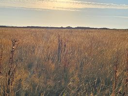Sunrise on the dog walking field.