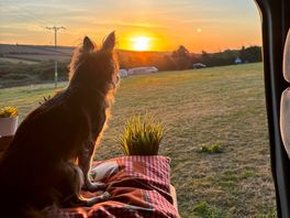 Watching the sun set