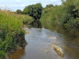 The river by the site. you can swim in it at your own risk