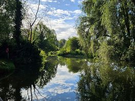 View towards nayland