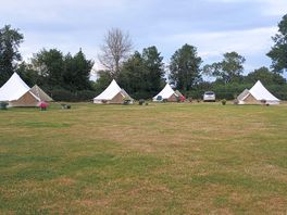 The site