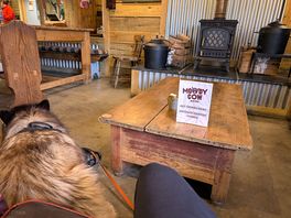 Nice bar area for a coffee. which is dog friendly