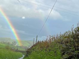 The rainbow