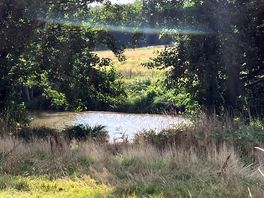Ponds