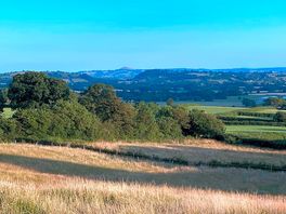 View of the tor