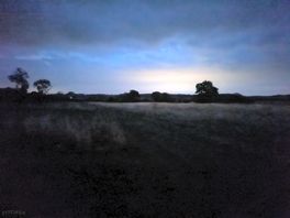 Stunning night skies