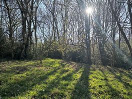 Evening sun!