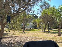 Camping