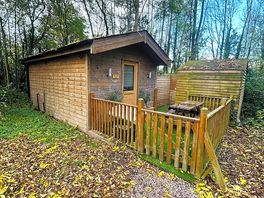 Our little pet friendly cabin. x