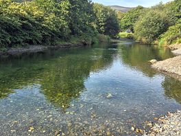Swimming heaven