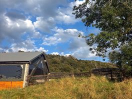 Games/social cabin